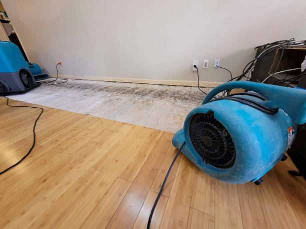 Professional Water Damage Repair technician working in Haltom City, TX